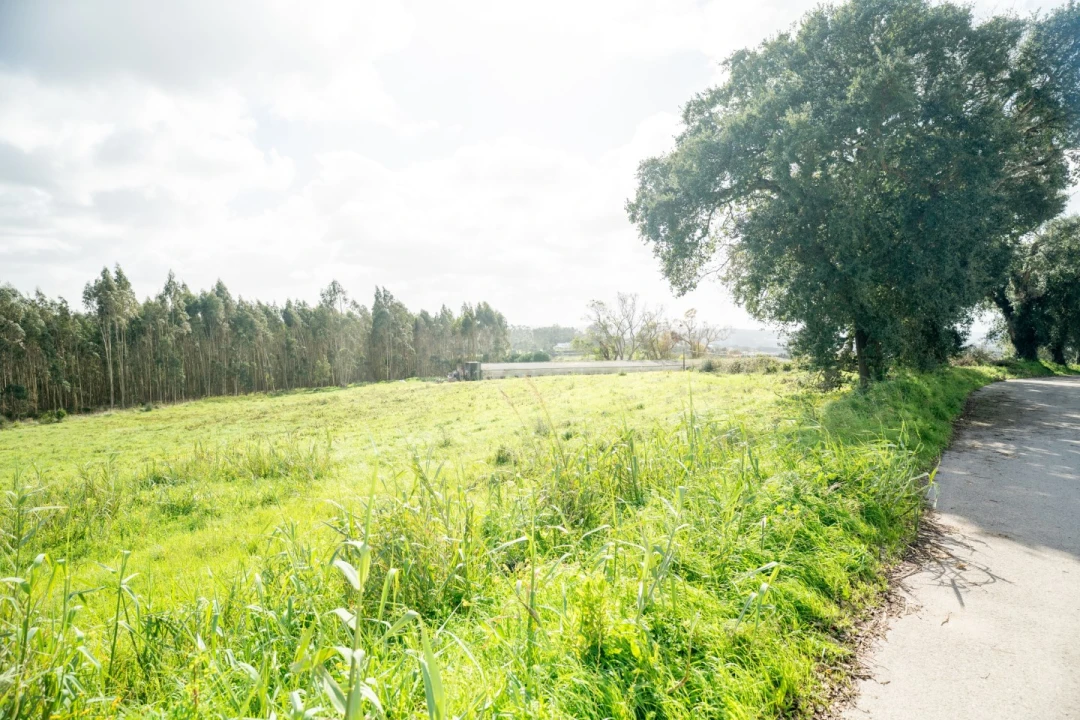 Terreno para Venda em Nossa Senhora do Pópulo, Coto e São Gregório Foto 8
