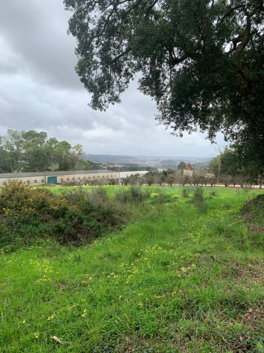 Terreno para Venda em Nossa Senhora do Pópulo, Coto e São Gregório Foto 3