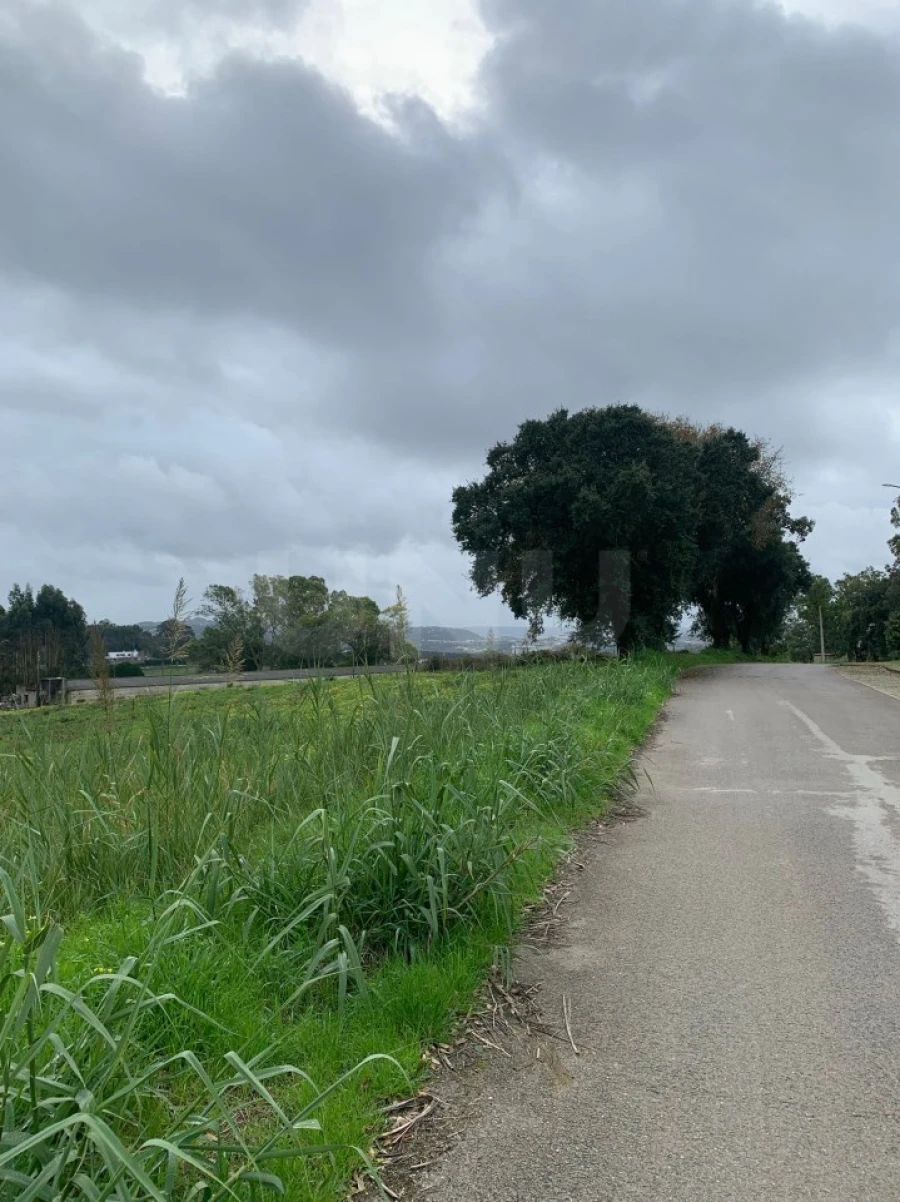 Terreno para Venda em Nossa Senhora do Pópulo, Coto e São Gregório Foto 4