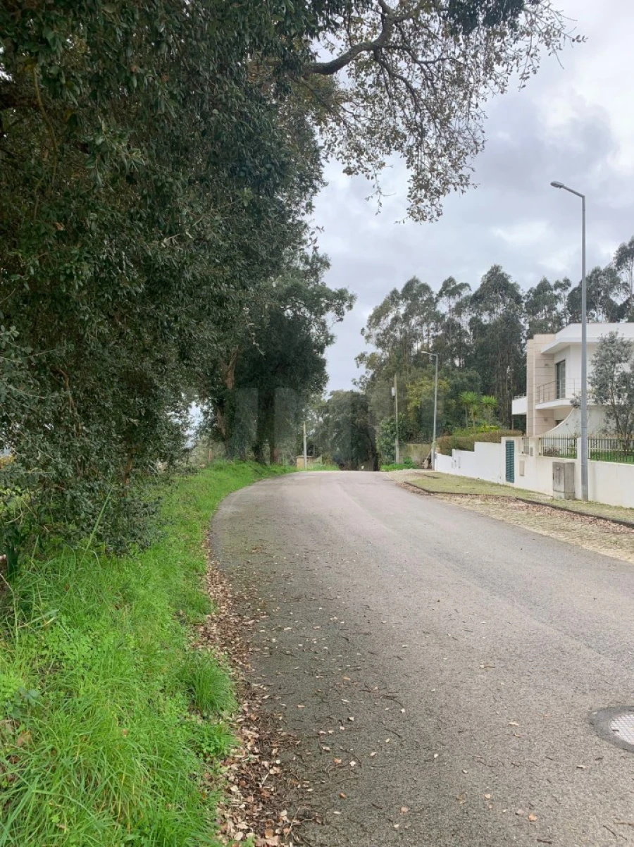 Terreno para Venda em Nossa Senhora do Pópulo, Coto e São Gregório Foto 5