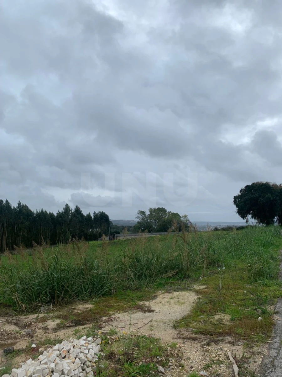 Terreno para Venda em Nossa Senhora do Pópulo, Coto e São Gregório Foto 6