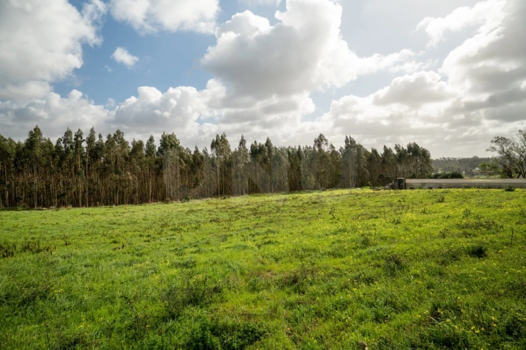 Terreno para Venda em Nossa Senhora do Pópulo, Coto e São Gregório Foto 2