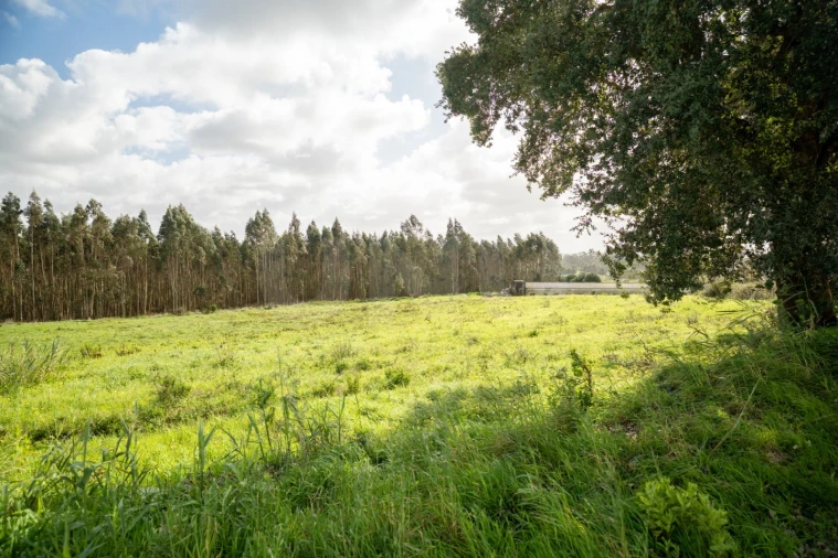 Terreno para Venda em Nossa Senhora do Pópulo, Coto e São Gregório Foto 3