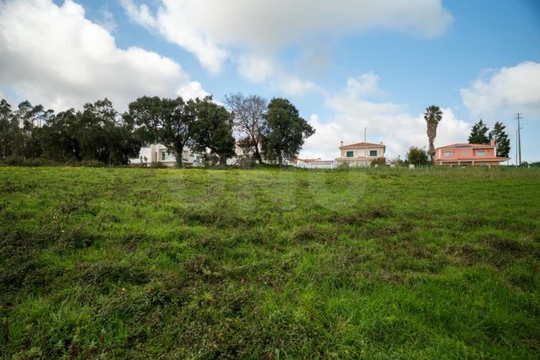 Terreno para Venda em Nossa Senhora do Pópulo, Coto e São Gregório Foto 4