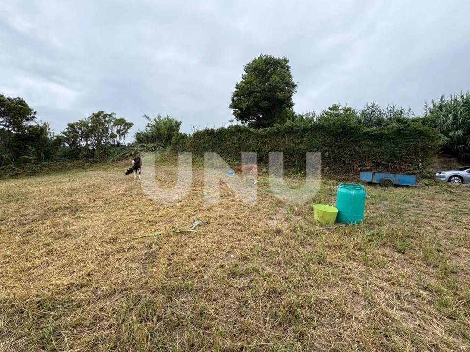 Terreno Agricola ou Rústico para Venda em Ribeira Chã Foto 3