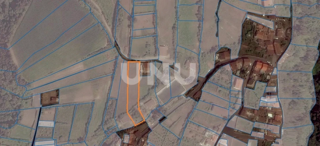 Terreno Agricola ou Rústico para Venda em Ribeira Chã Foto 6