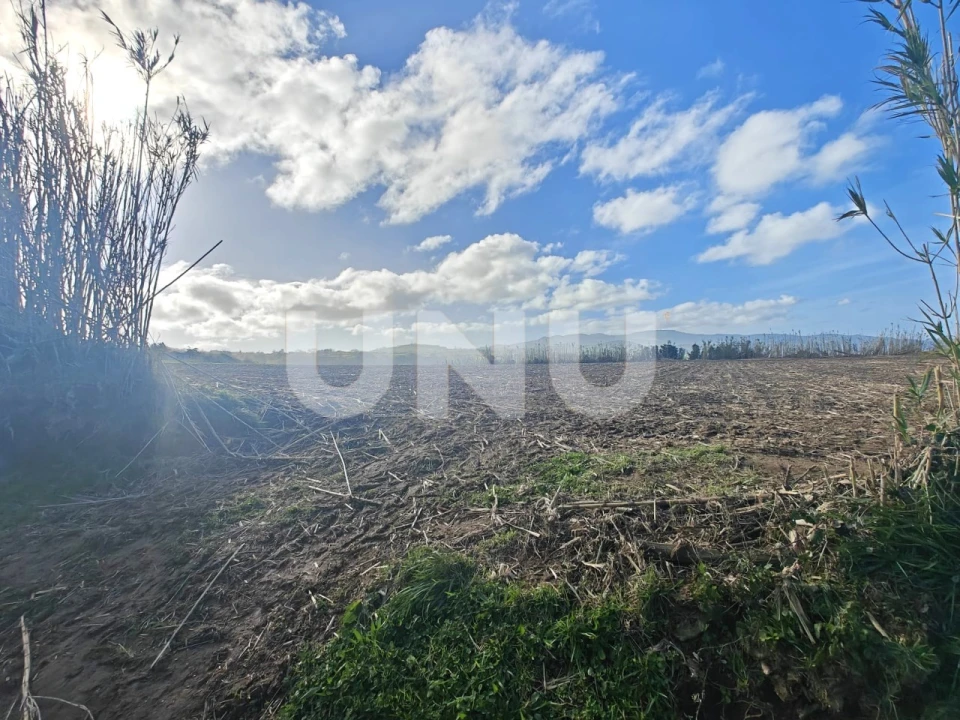 Terreno Agricola ou Rústico para Venda em Fenais da Ajuda Foto 2