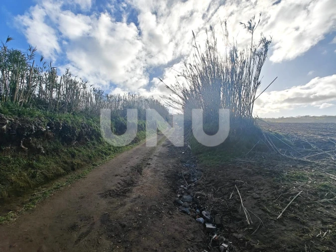Terreno Agricola ou Rústico para Venda em Fenais da Ajuda Foto 1