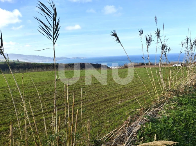 Terreno Agricola ou Rústico para Venda em Fenais da Ajuda Foto 3