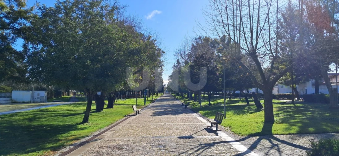 Moradia T1 para Venda em Cuba Foto 26