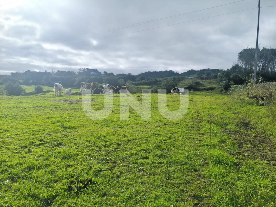 Terreno Agricola ou Rústico para Venda em Capelas Foto 12