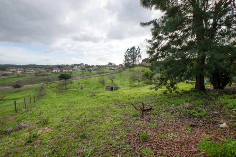 Moradia para Venda em Alcanede Foto 31