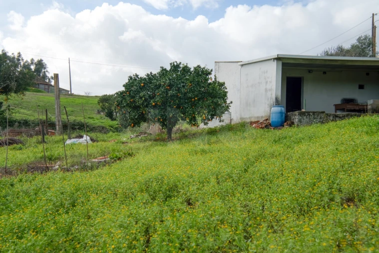 Moradia para Venda em Alcanede Foto 33