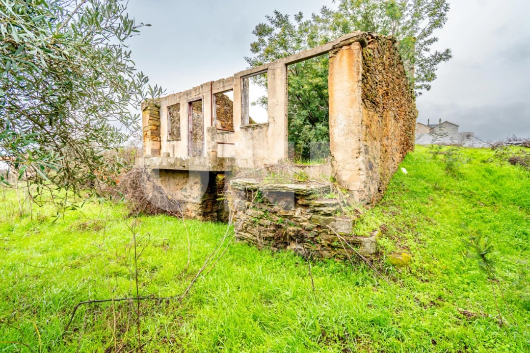 Terreno para Venda em Barco e Coutada Foto 1