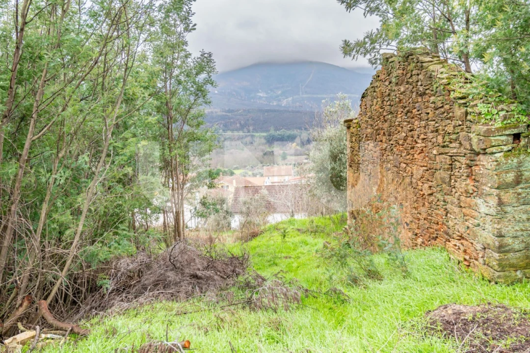 Terreno para Venda em Barco e Coutada Foto 3