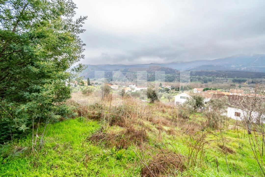 Terreno para Venda em Barco e Coutada Foto 4