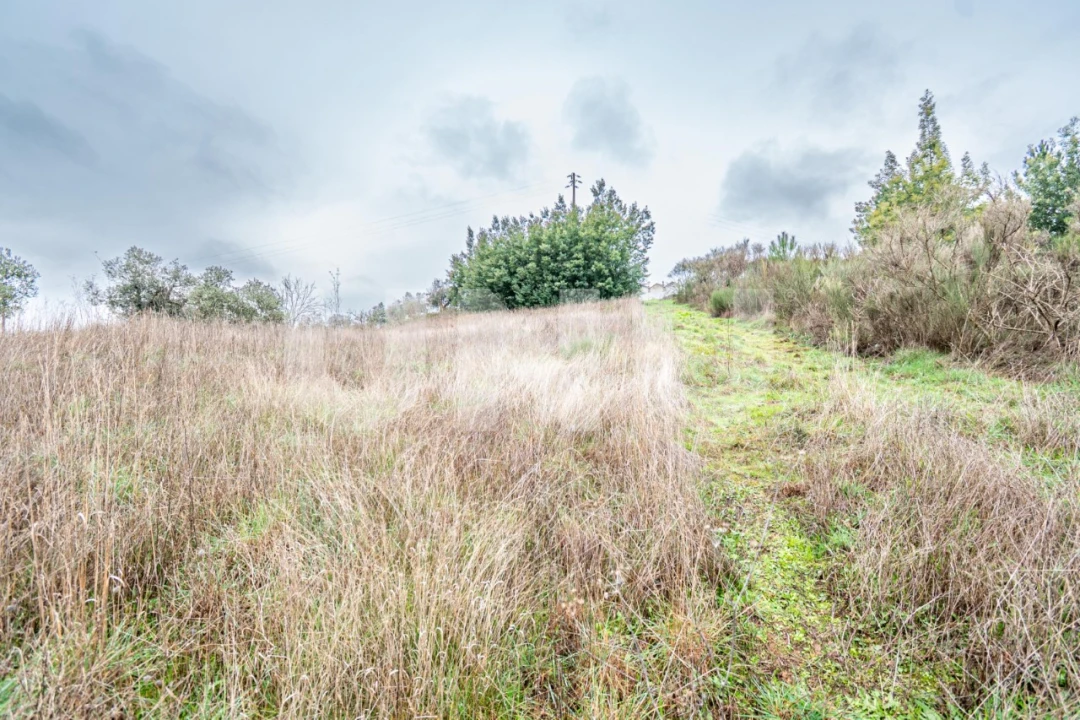 Terreno para Venda em Barco e Coutada Foto 10