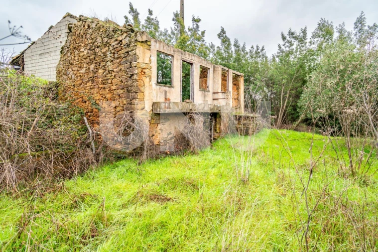 Terreno para Venda em Barco e Coutada Foto 2