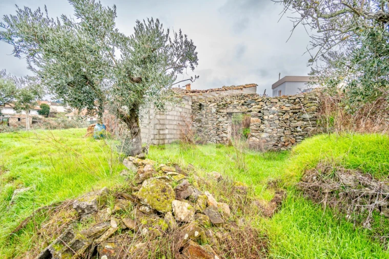 Terreno para Venda em Barco e Coutada Foto 5
