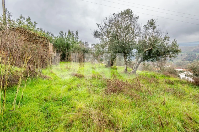 Terreno para Venda em Barco e Coutada Foto 6