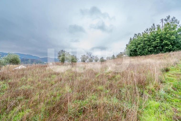 Terreno para Venda em Barco e Coutada Foto 7