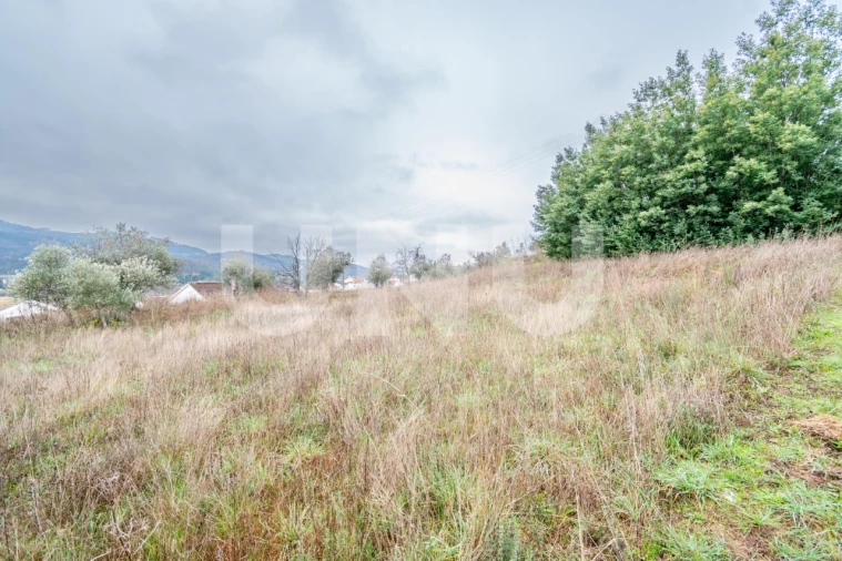 Terreno para Venda em Barco e Coutada Foto 11