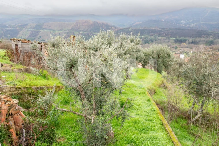 Terreno para Venda em Barco e Coutada Foto 12