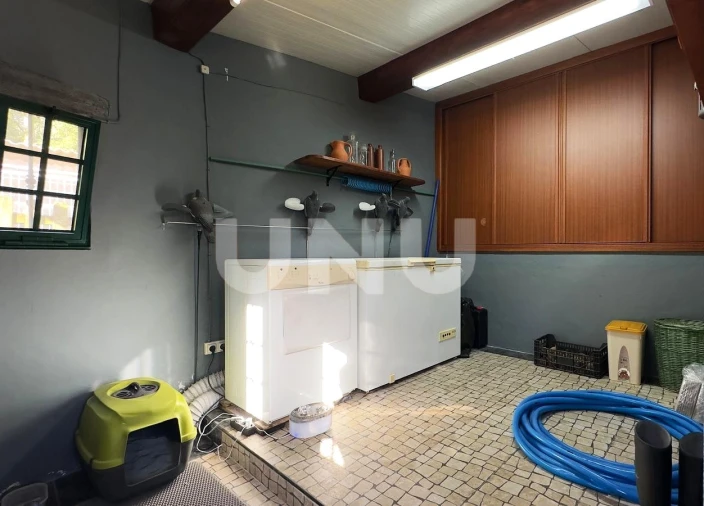 Moradia T3 para Venda em São Vicente Ferreira Foto 19