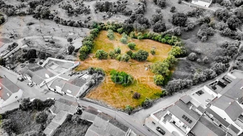 Terreno para Venda em Gafanhoeira (São Pedro) e Sabugueiro