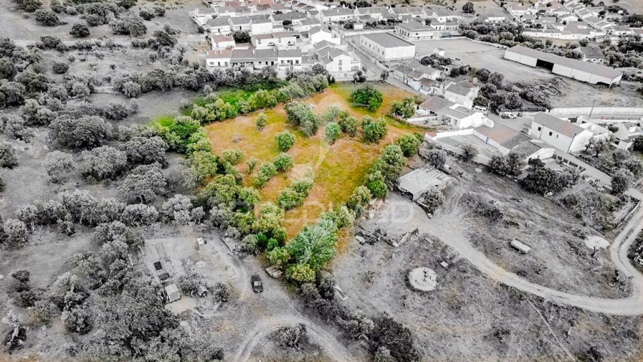 Terreno para Venda em Gafanhoeira (São Pedro) e Sabugueiro Foto 5