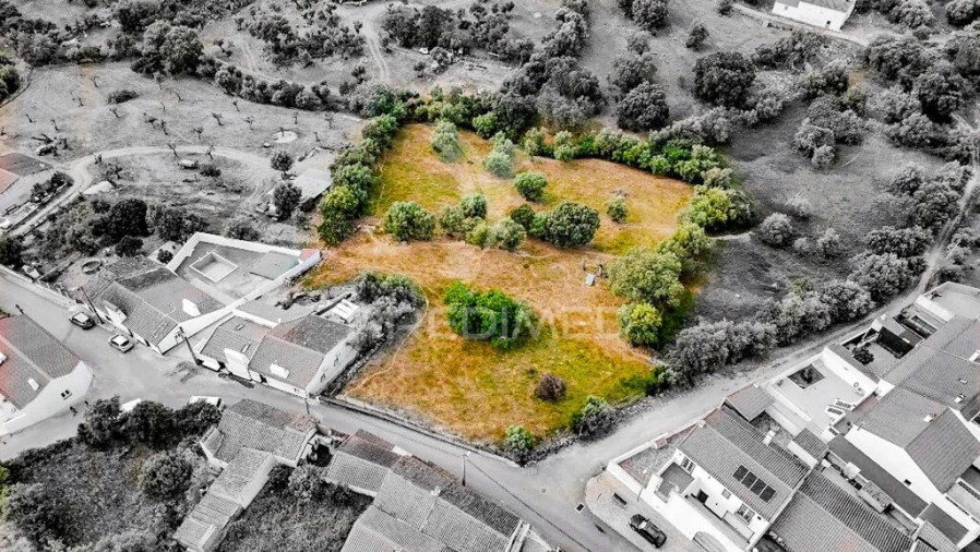 Terreno para Venda em Gafanhoeira (São Pedro) e Sabugueiro Foto 2