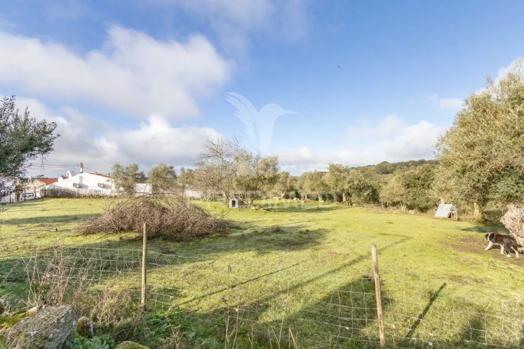 Terreno para Venda em Gafanhoeira (São Pedro) e Sabugueiro Foto 2