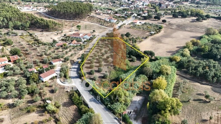 Terreno para Venda em Alcanede Foto 15