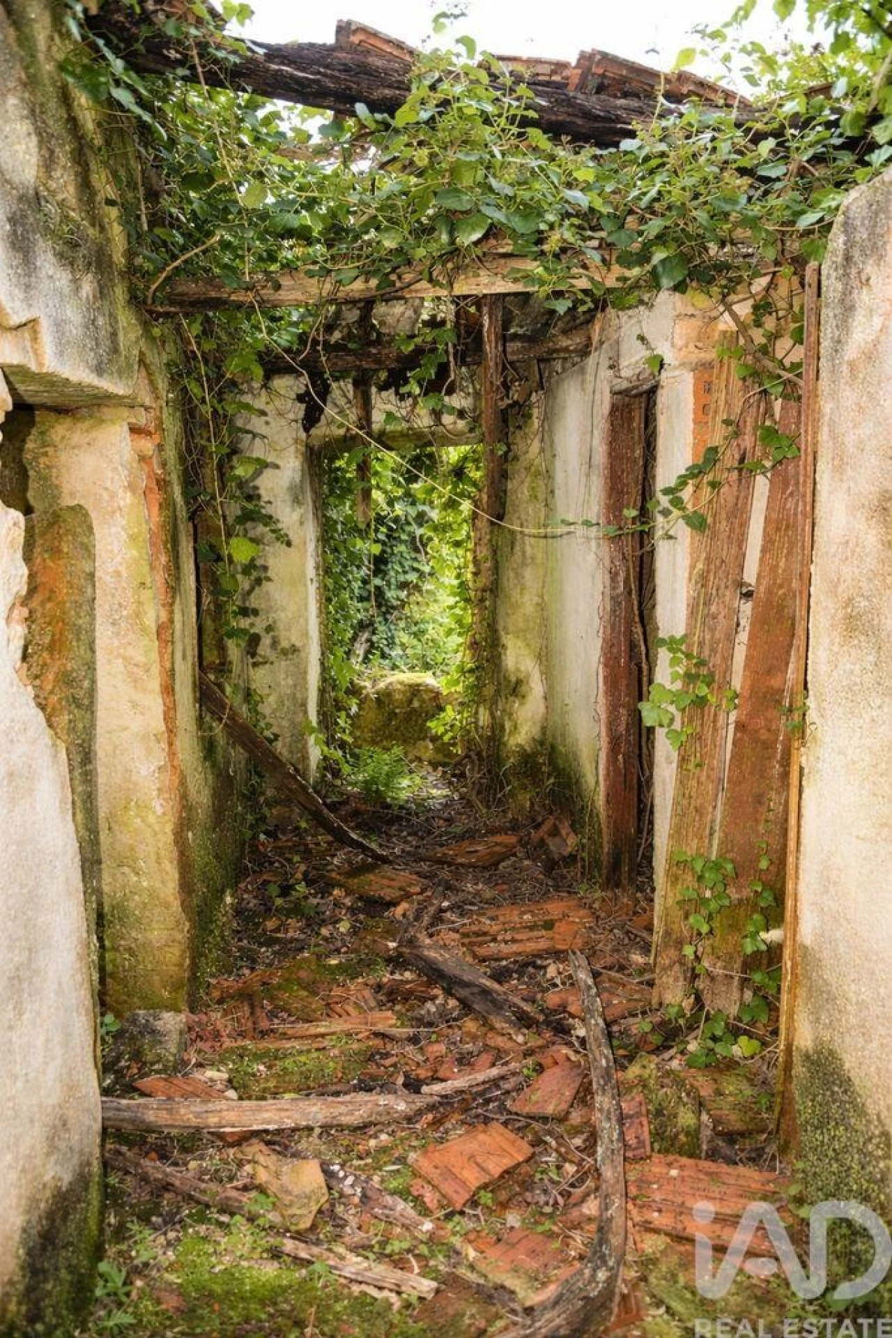 Moradia para Venda em Chãos Foto 5