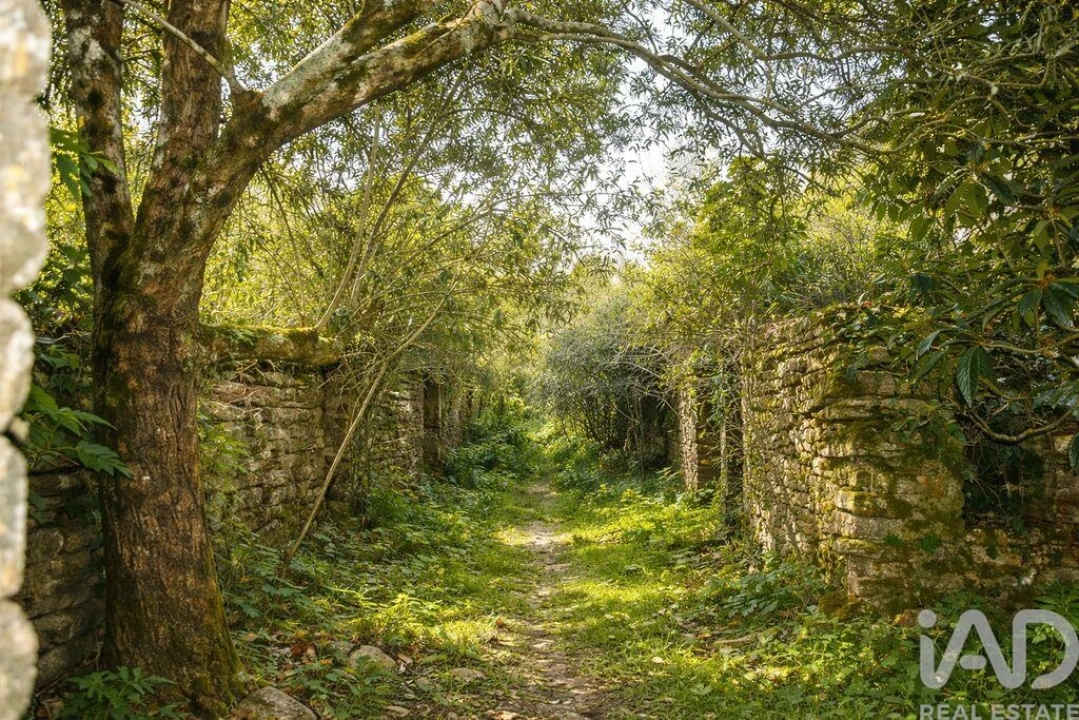 Moradia para Venda em Chãos Foto 4