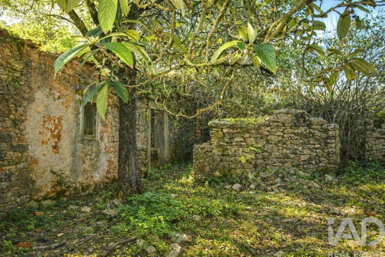 Moradia para Venda em Chãos Foto 3