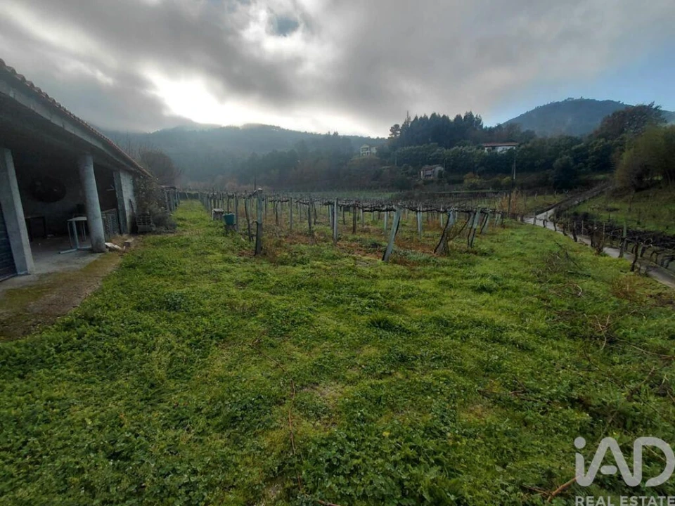 Terreno para Venda em Messegães, Valadares e Sá Foto 2