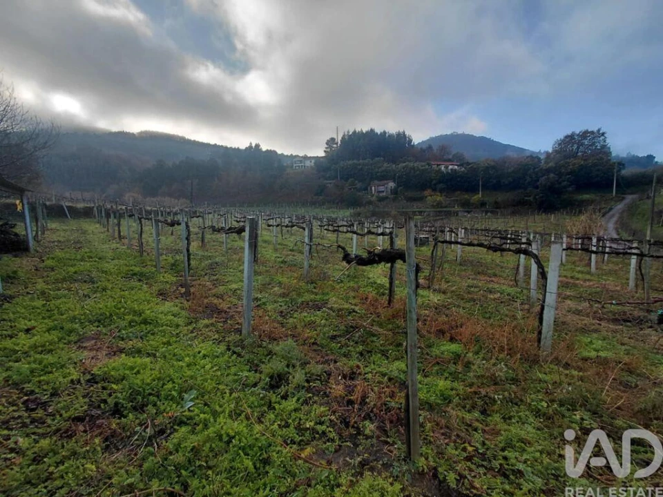 Terreno para Venda em Messegães, Valadares e Sá Foto 3