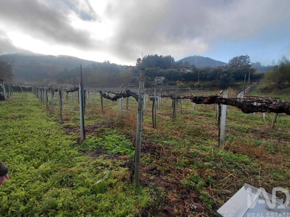 Terreno para Venda em Messegães, Valadares e Sá Foto 5