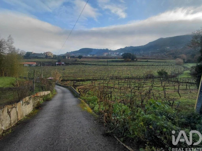 Terreno para Venda em Messegães, Valadares e Sá Foto 4