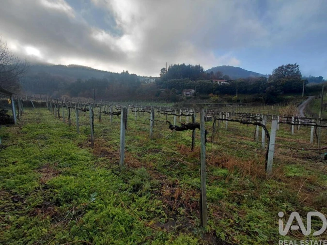 Terreno para Venda em Messegães, Valadares e Sá Foto 3