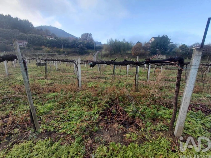 Terreno para Venda em Messegães, Valadares e Sá Foto 1
