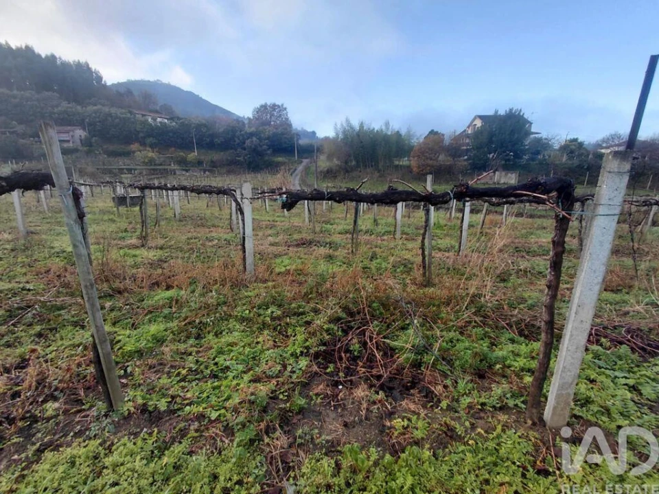 Terreno para Venda em Messegães, Valadares e Sá Foto 1