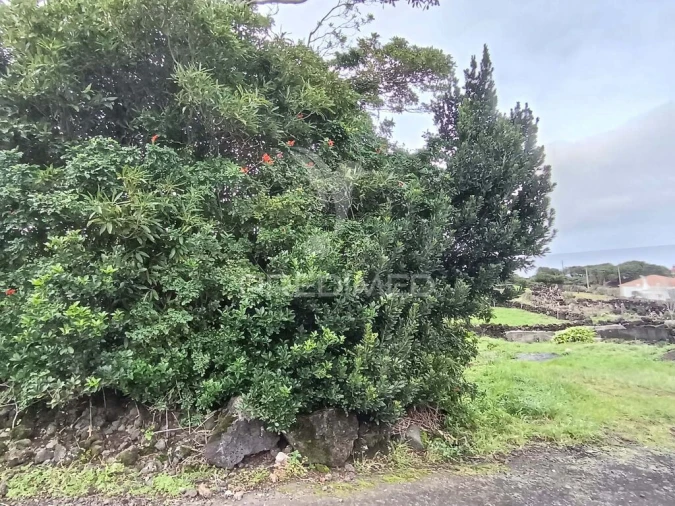 Terreno para Venda em Prainha Foto 6
