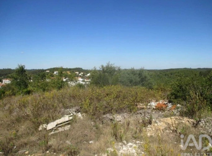 Terreno para Venda em Soure Foto 5