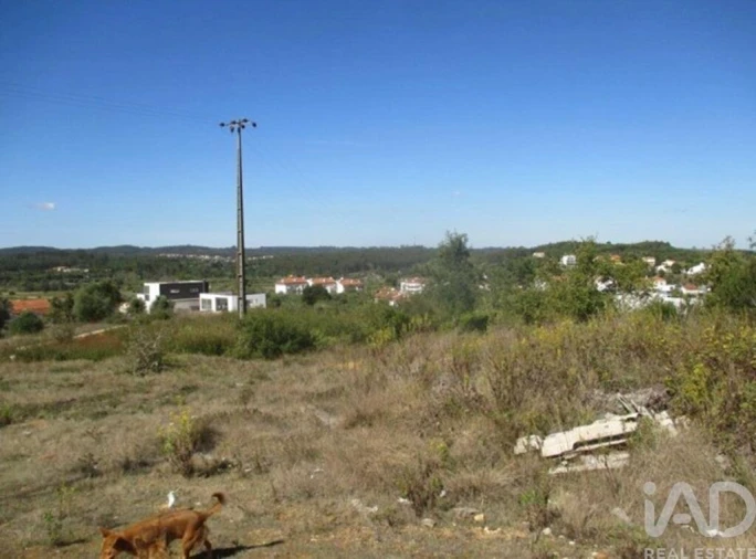 Terreno para Venda em Soure Foto 4