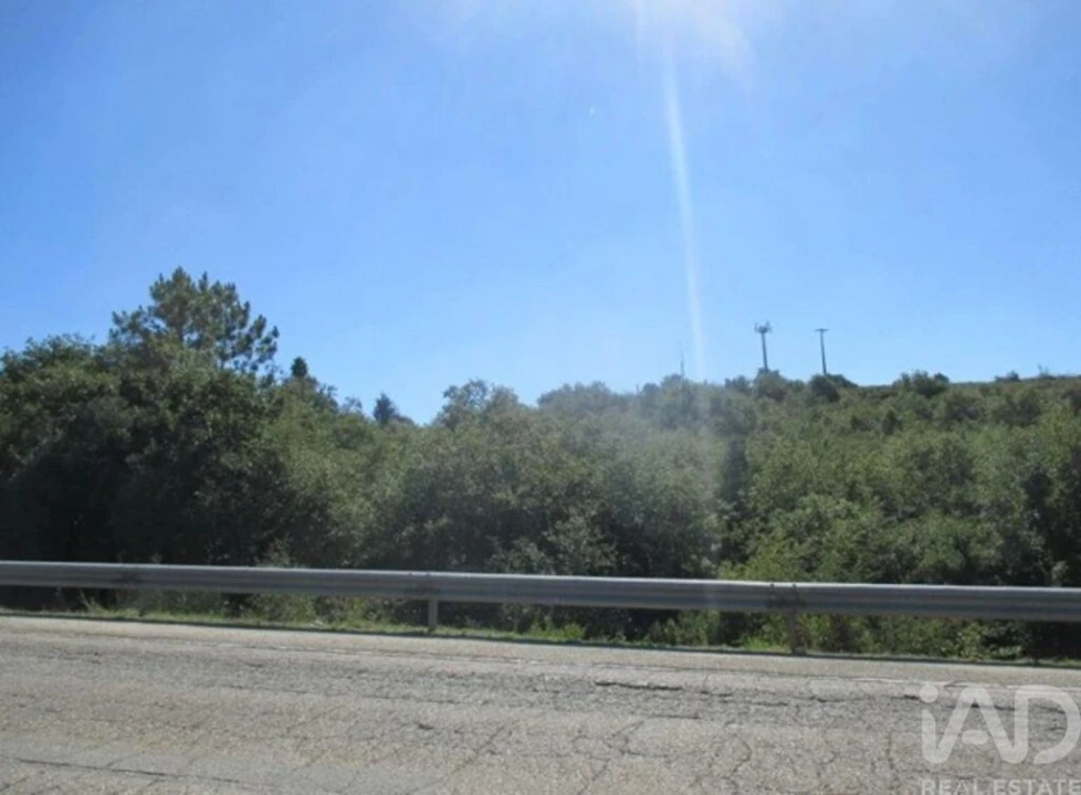 Terreno para Venda em Soure Foto 6
