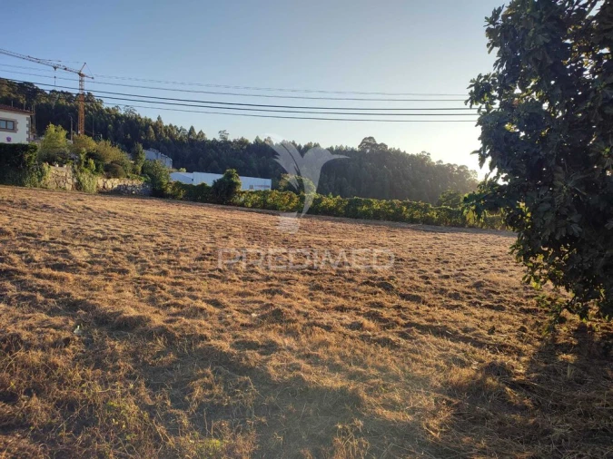 Terreno para Venda em Duas Igrejas Foto 1