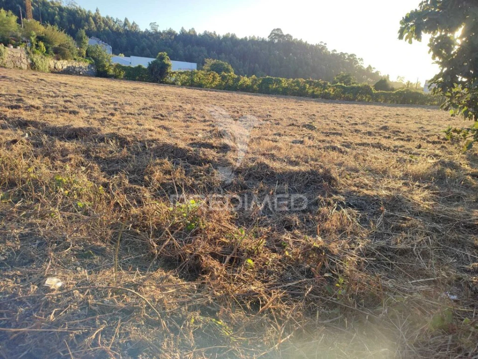 Terreno para Venda em Duas Igrejas Foto 5