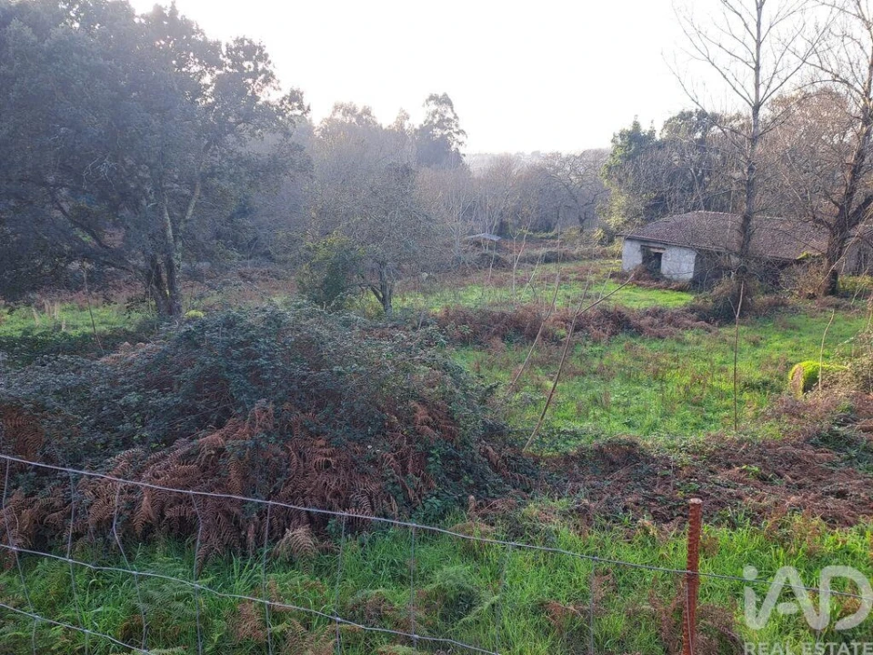 Terreno para Venda em Adaufe Foto 8